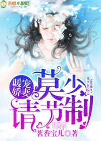 暖宠娇妻：莫少，请节制！章节列表
