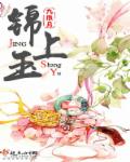 锦上玉章节列表