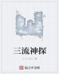 三流神探章节列表