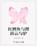 红鲤鱼与傅跃云与驴章节列表