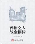 孙悟空大战金箍棒章节列表