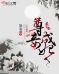 尊妾成妃章节列表