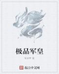 极品军皇章节列表