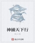 神捕天下行章节列表