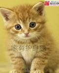 家有护身猫章节列表
