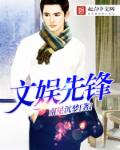 文娱先锋章节列表