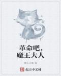 革命吧，魔王大人章节列表