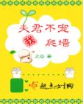 夫君不宠我爬墙章节列表