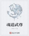 魂道武尊章节列表