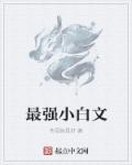 最强小白文章节列表