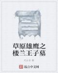 草原雄鹰之楼兰王子墓章节列表