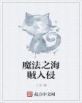 魔法之海贼入侵章节列表