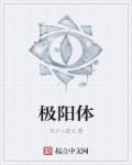 极阳体章节列表