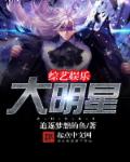 综艺娱乐大明星章节列表