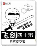 飞剑四十米章节列表