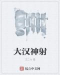 大汉神射章节列表