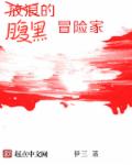 腹黑的冒险家章节列表
