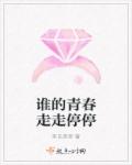 谁的青春走走停停章节列表