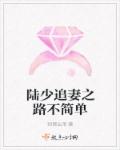 陆少追妻之路不简单章节列表