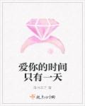 爱你的时间只有一天章节列表