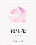 夜生花章节列表
