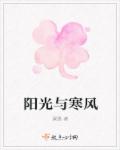 阳光与寒风章节列表