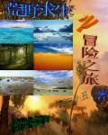 冒险求生之旅章节列表