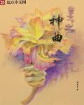 重生之神曲章节列表