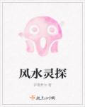 风水灵探章节列表