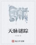天脉谜踪章节列表