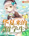 华夏来的留学生章节列表