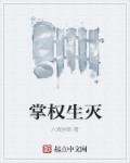 掌权生灭章节列表