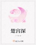 楚宫深章节列表