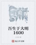 吾生于大明1600章节列表