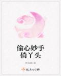 偷心妙手俏丫头章节列表