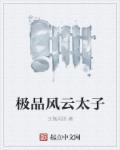 极品风云太子章节列表