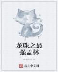 龙珠之最强孟林章节列表