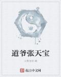 道爷张天宝章节列表