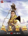 网游之成王霸业章节列表
