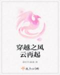 穿越之风云再起章节列表