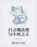 白之魔法使与不死之王章节列表
