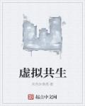虚拟共生章节列表
