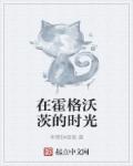 在霍格沃茨的时光章节列表