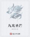 九光圣芒章节列表