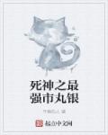 死神之最强市丸银章节列表