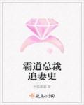 霸道总裁追妻史章节列表