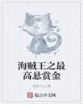 海贼王之最高悬赏金章节列表