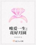 傲娇男神的告白计划章节列表