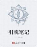 引魂笔记章节列表