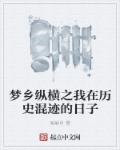梦乡纵横之我在历史混迹的日子章节列表